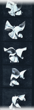 Filmstrip